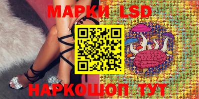 spice Рыбинск