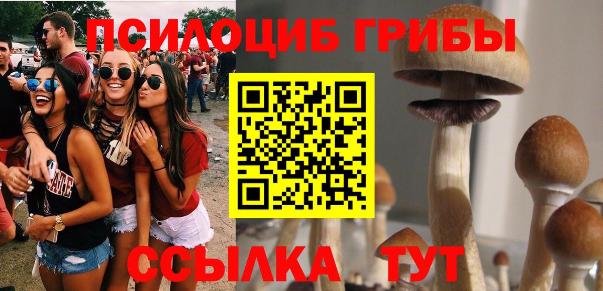 Псилоцибиновые грибы прущие грибы  Галлюциногенные грибы Psilocybe  цена наркотик  Вход с VPN  Сокол 