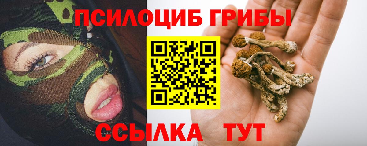 Галлюциногенные грибы Magic Shrooms Сокол